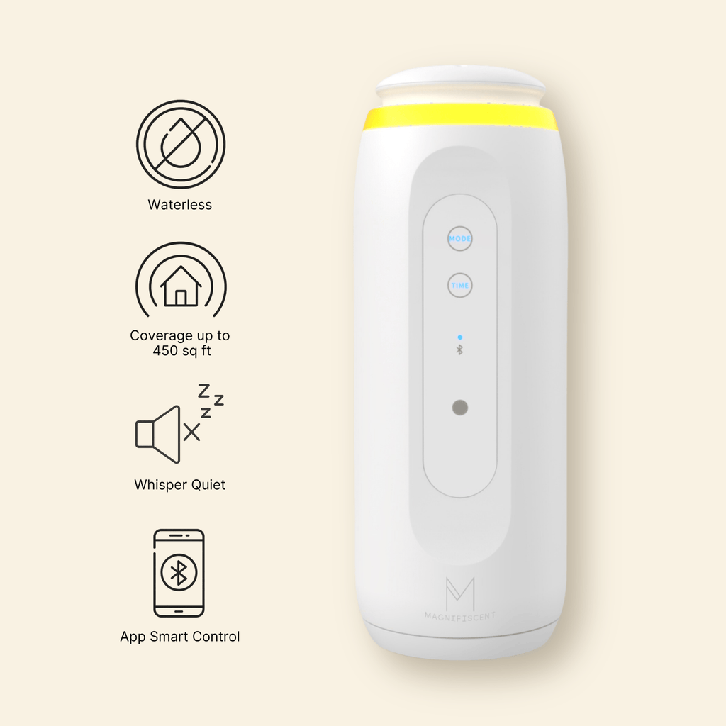 ZenPlug – The Smart, Waterless Plug-In Diffuser